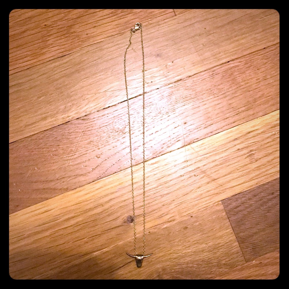 Longhorn Necklace